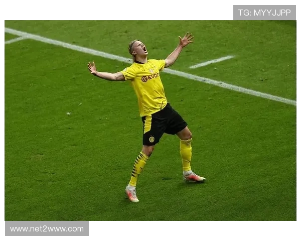 哈兰德啤酒广告争议足协称有权